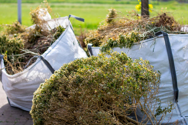 Best Dumpster Rental Services  in East Lansdowne, PA