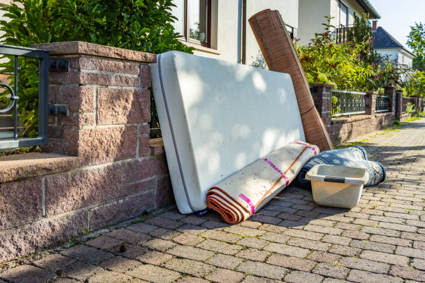 Yard Cleanup Services in East Lansdowne, PA